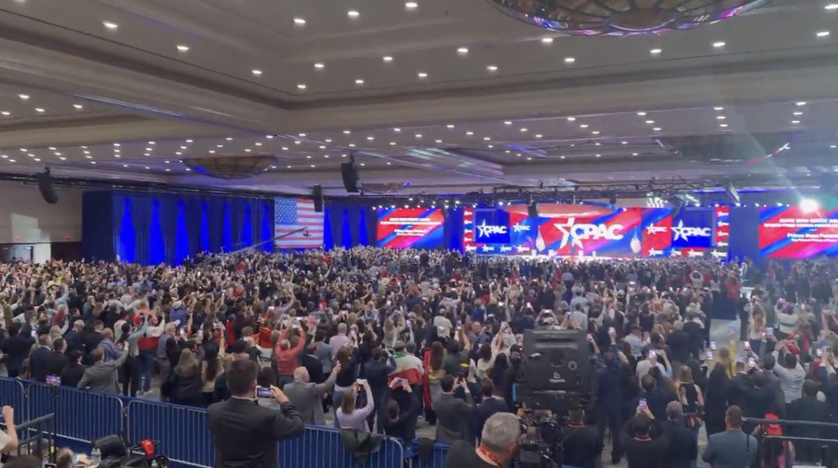 Mayra Yazdari tweet media