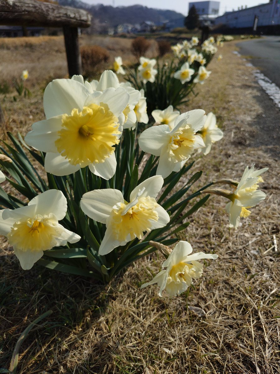 ◯◯GAWA tweet media