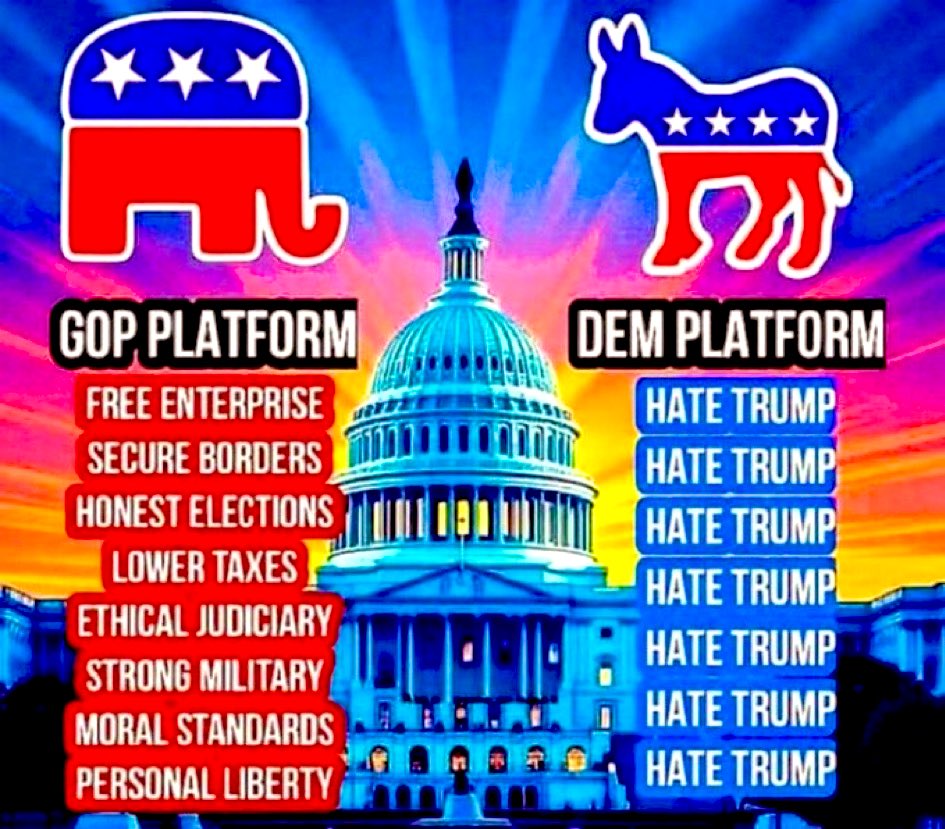 Sparky 🌵 ⚾ tweet media