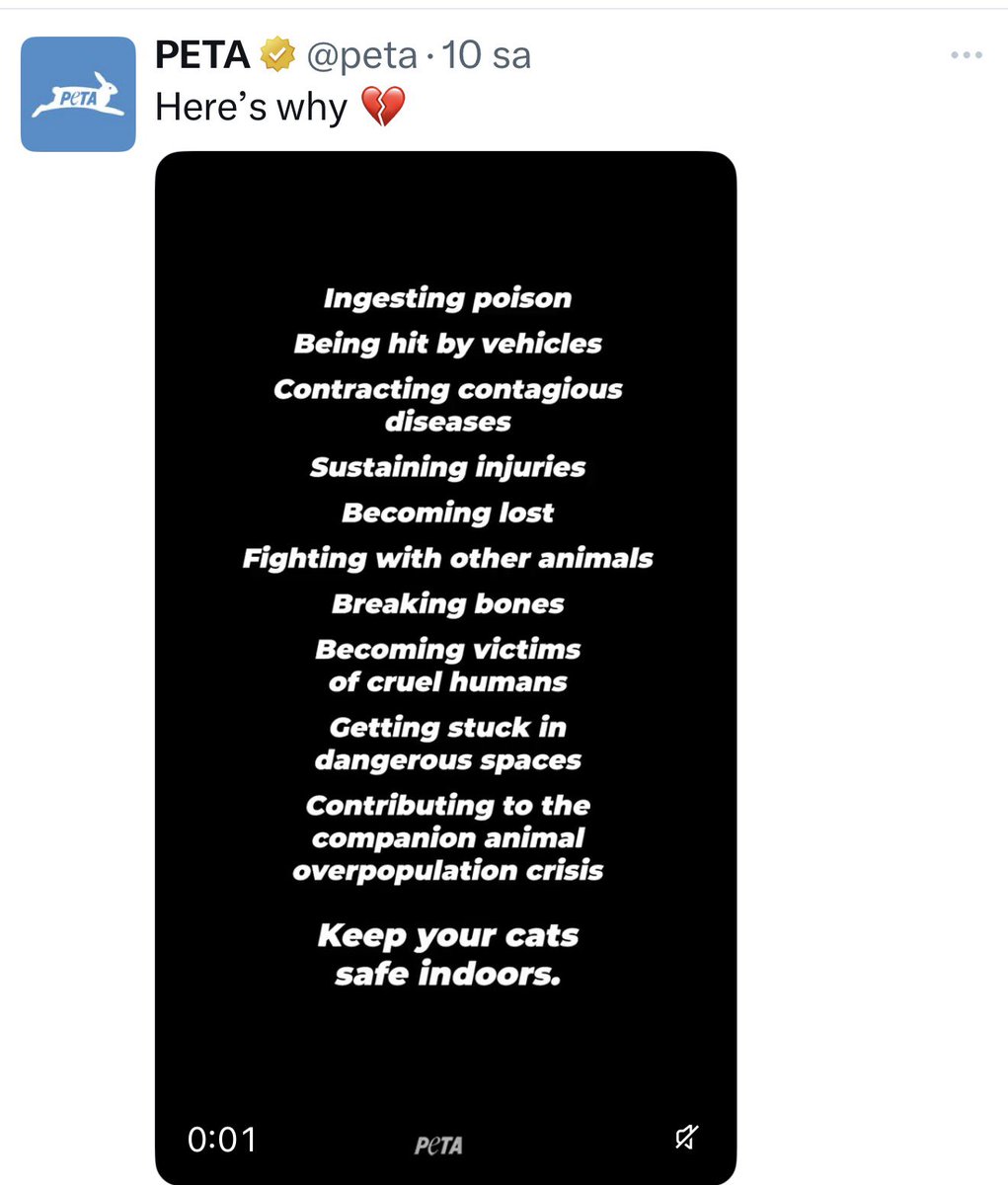 Devrim KOÇAK tweet media