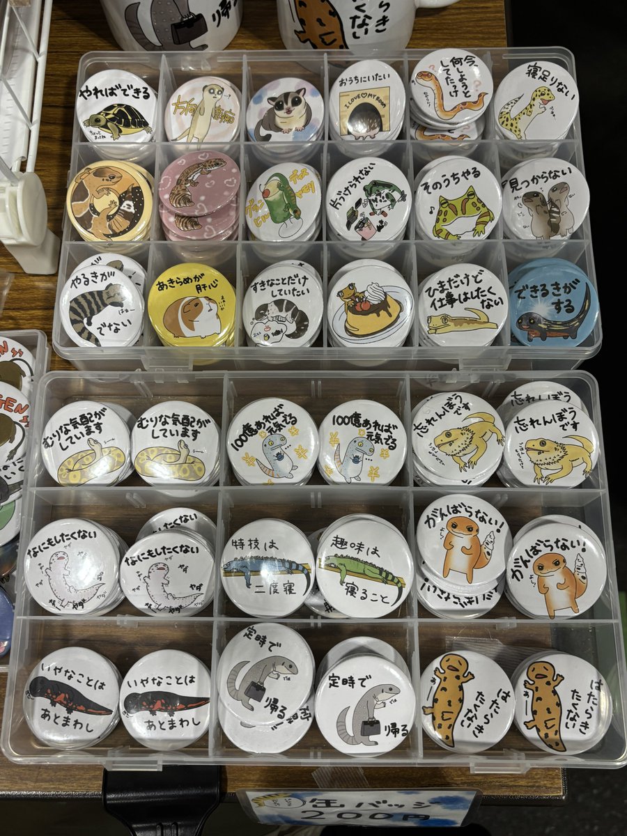 CLEAR BLUE@つぶあんな 4/4.5北レプ tweet media