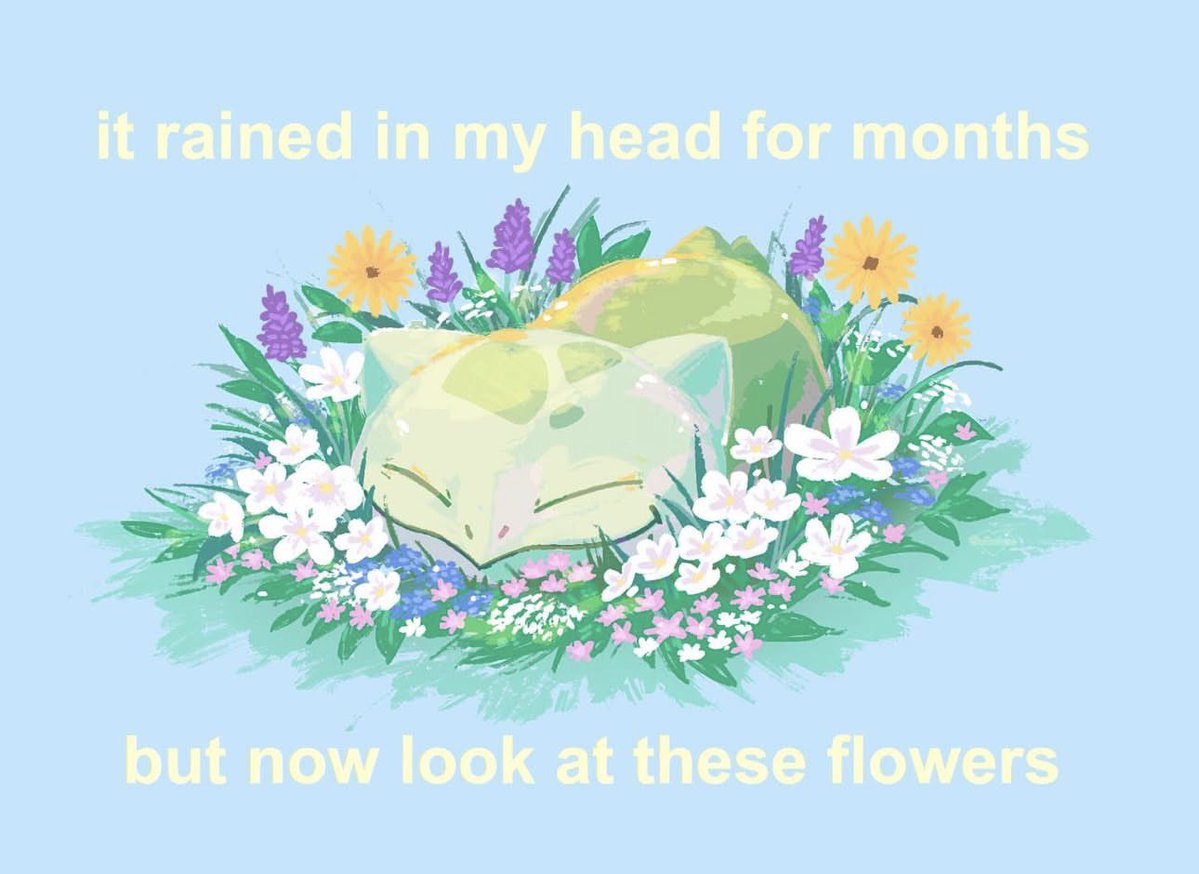 🪼meredith🪼 tweet media