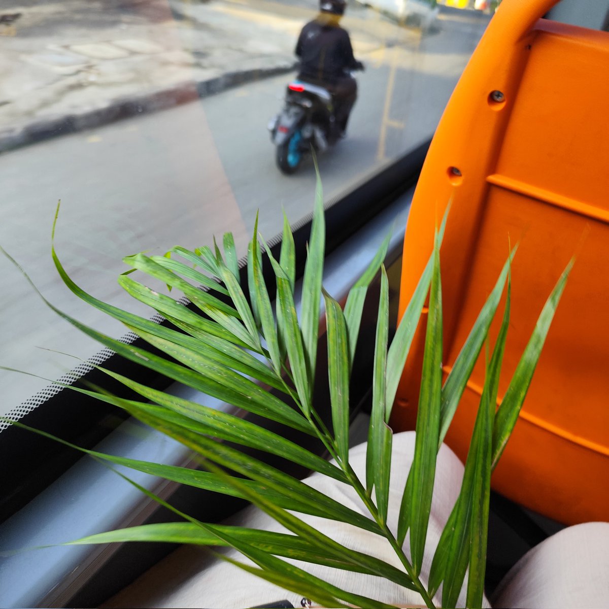 Tiwi 🙋🏻‍♀️ tweet media