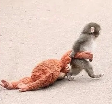 SOCIALbest tweet media