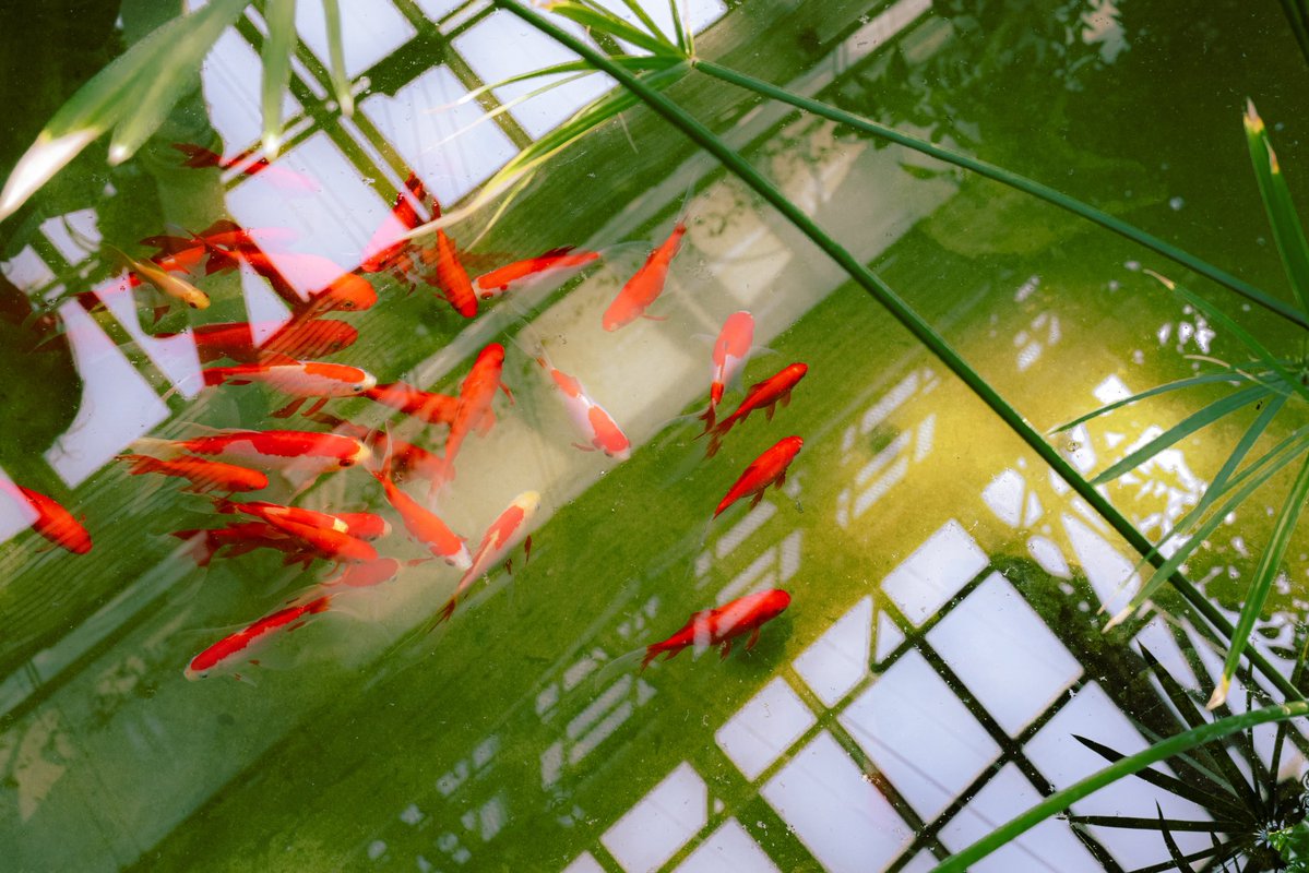 𝕣𝕒𝕤𝕙𝕒 tweet media