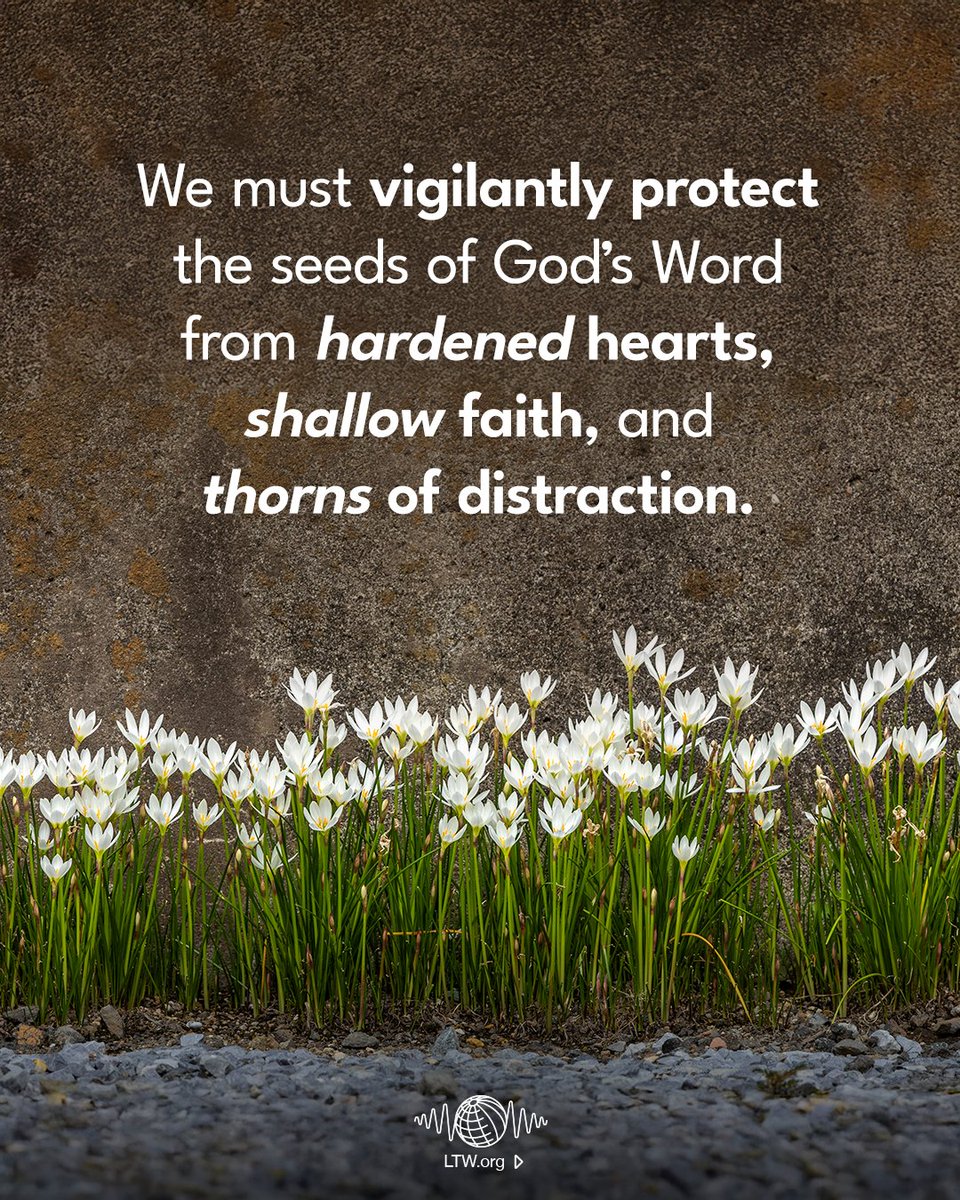 Leading The Way tweet media