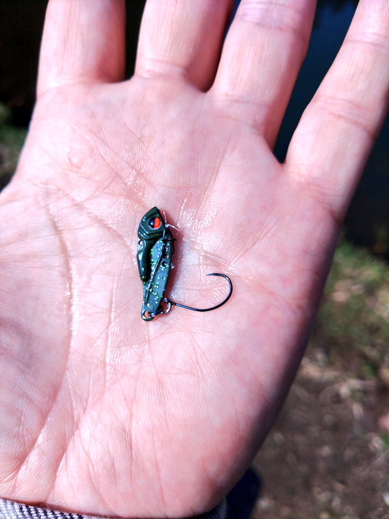 ムネトー@DSファン tweet media