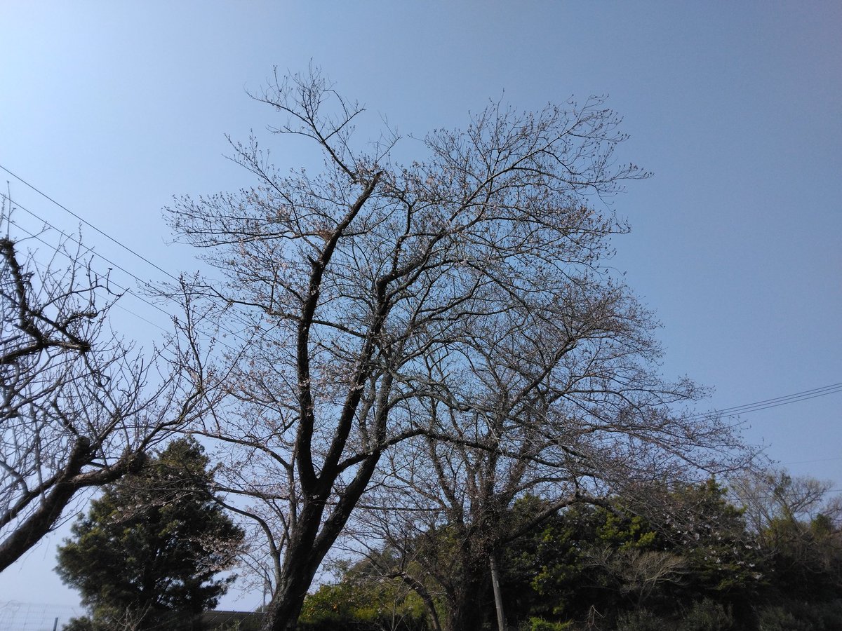 プロジェクト３４ tweet media