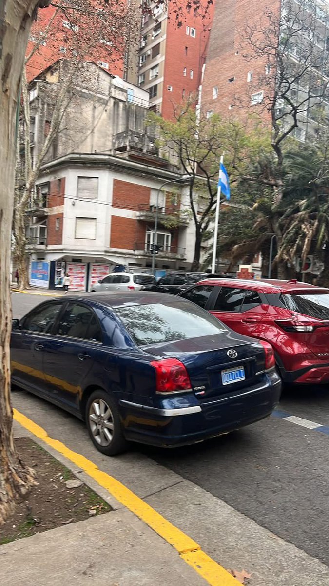 Sebastián tweet media