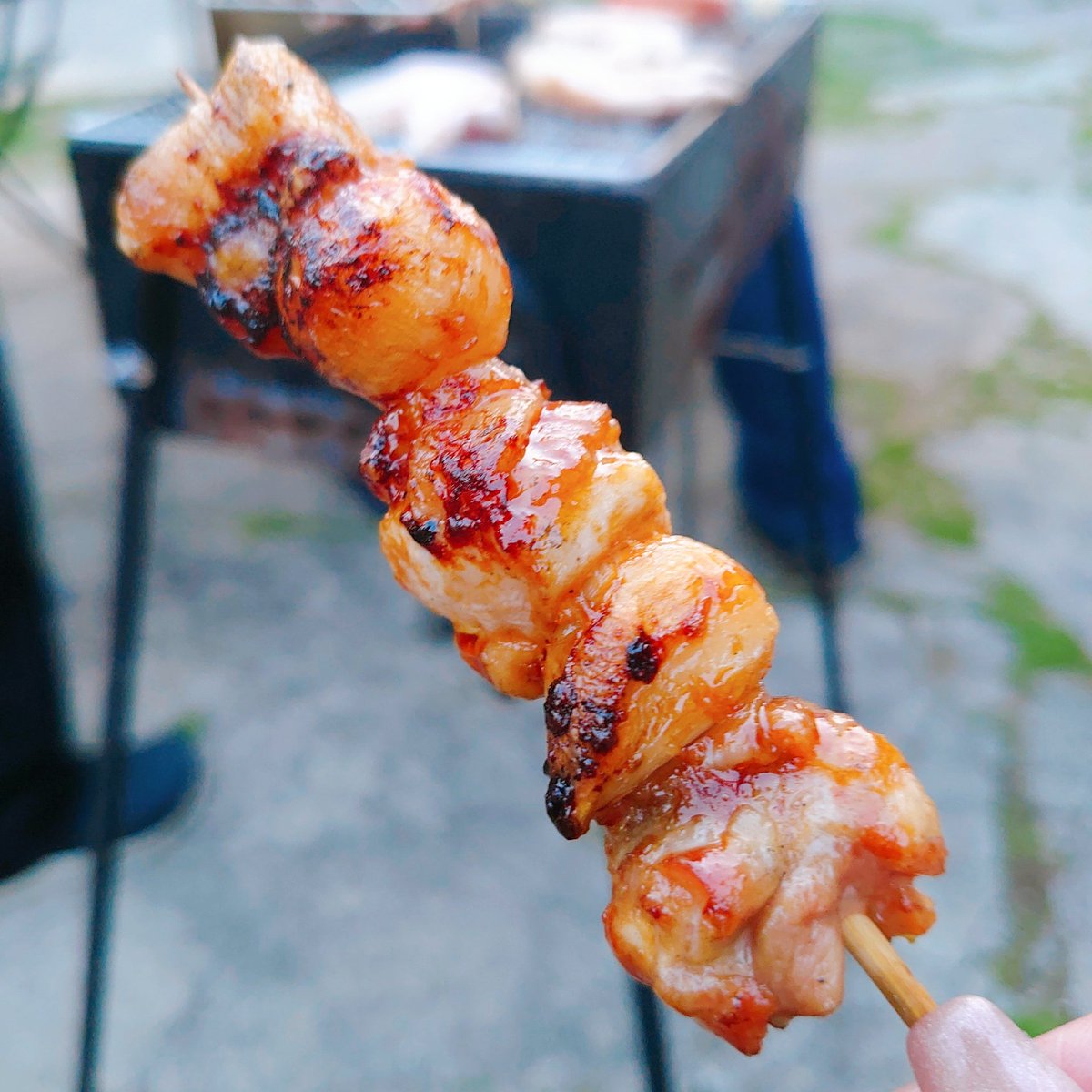 𝒆𝑴𝒖🐾 tweet media