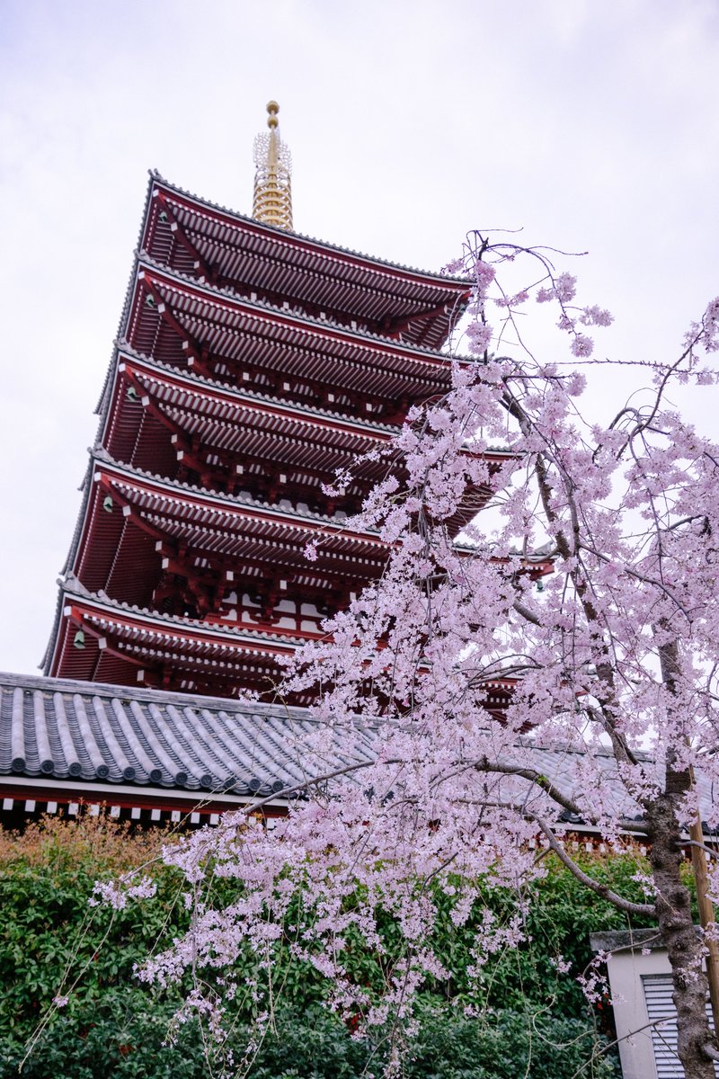 じゅん@ 🌈🦊🧡 tweet media