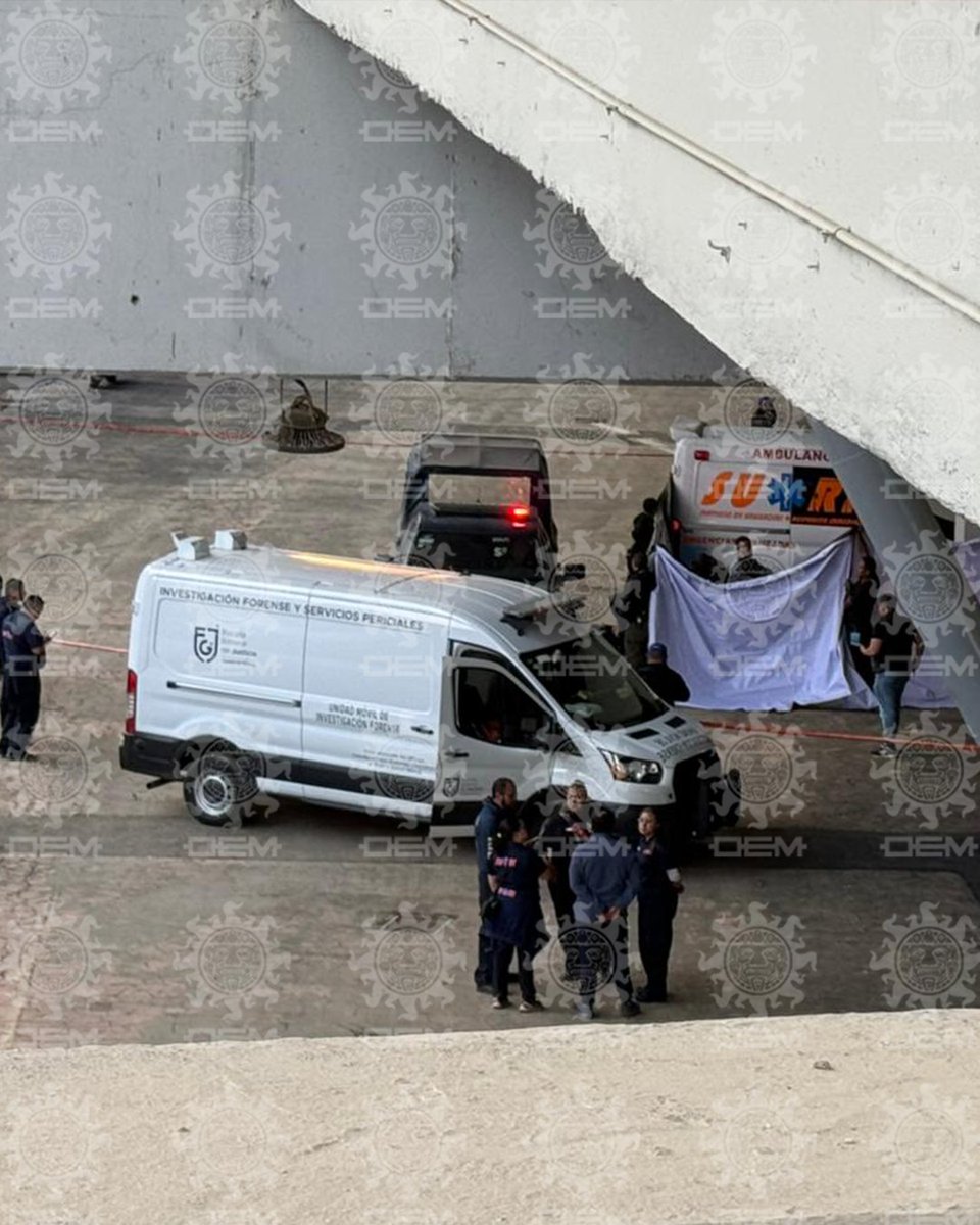 El Sol de México tweet media