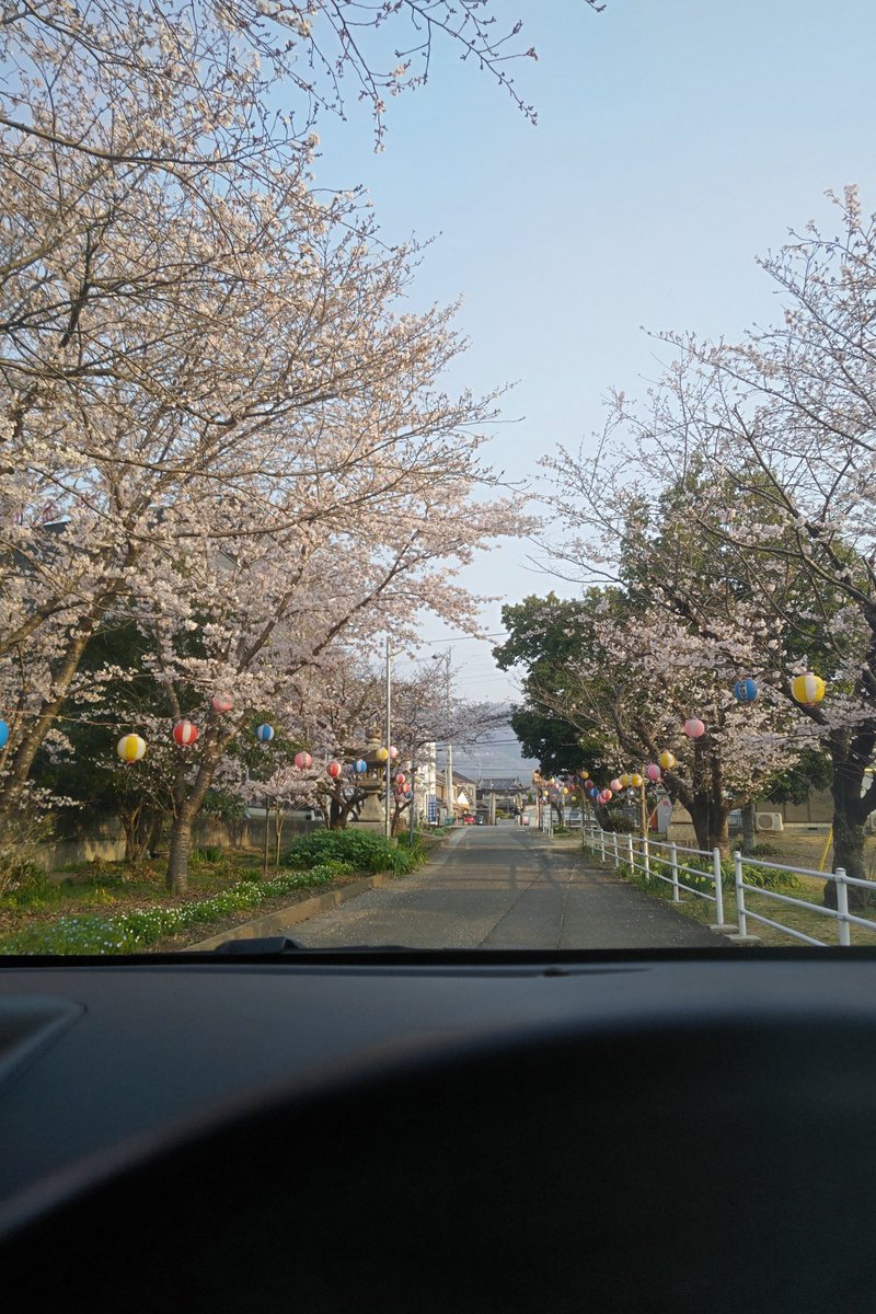 kousuke_gtsr's tweet photo. 今朝の桜
#朝
#桜 https://t.co/ZEONtNDGf3