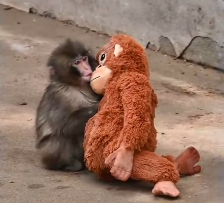 SOCIALbest tweet media