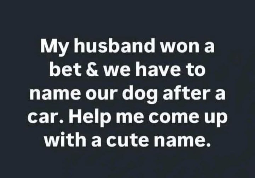 💥LoLo💥 tweet media