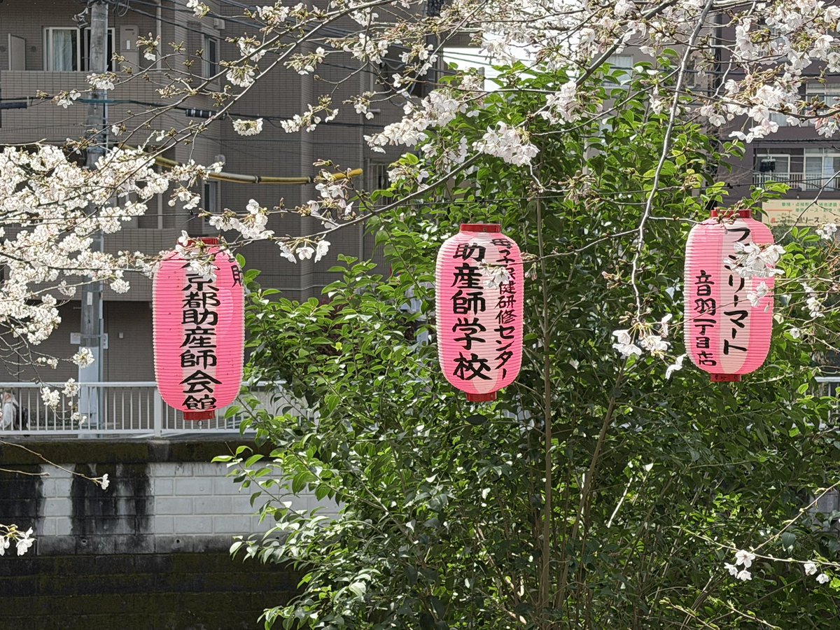 井戸 まさえ 国民民主党 東京都第4区(大田区) tweet media