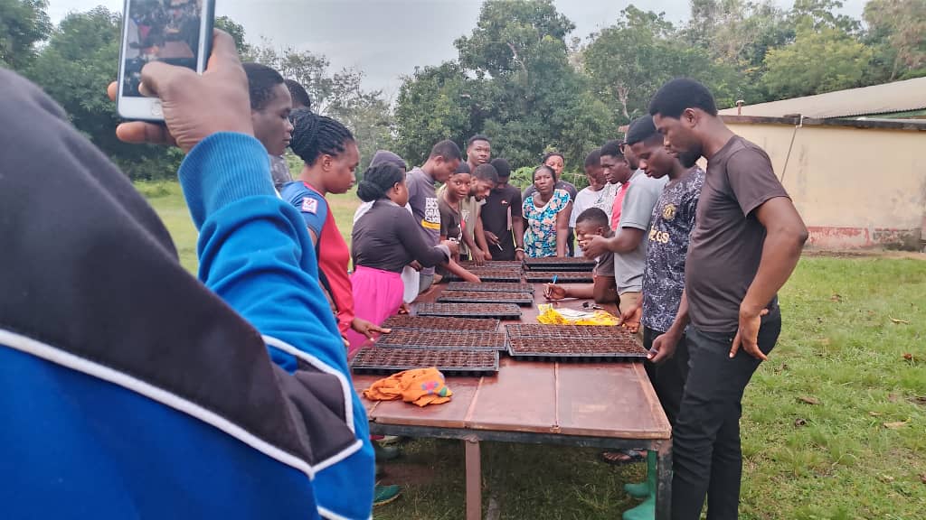 Tɔgbui Tsali tweet media