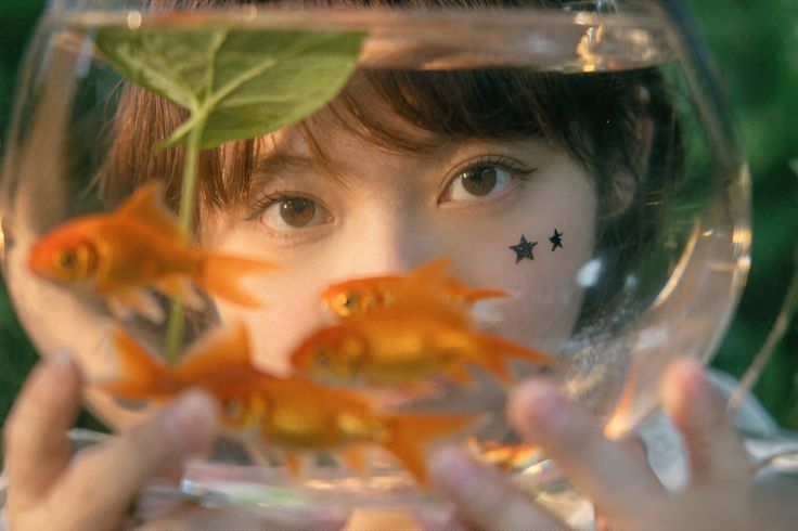 dana 🌱 tweet media