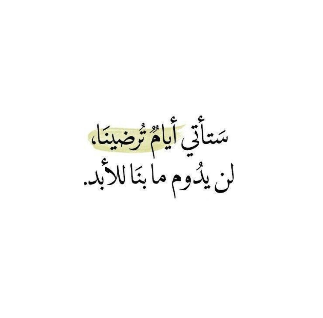 🌹 tweet media