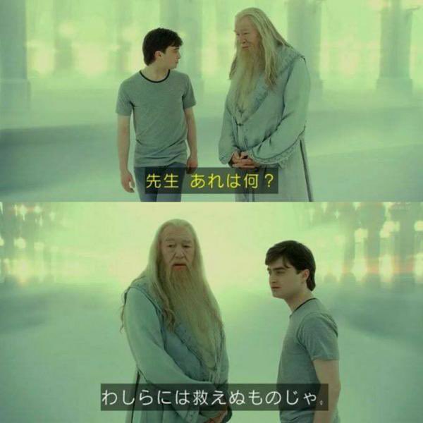 やす@Lv.1 tweet media