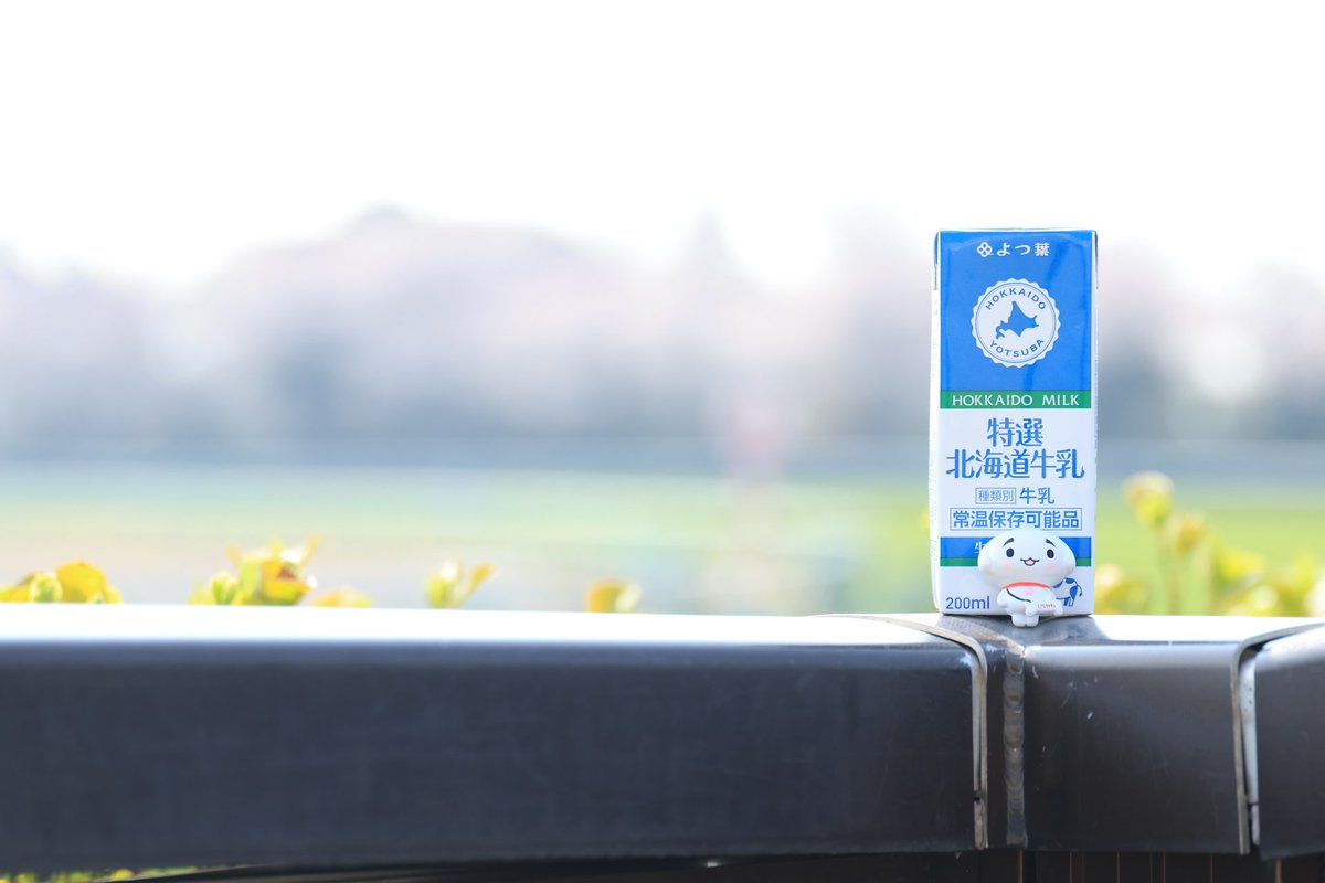 いなずさ tweet media