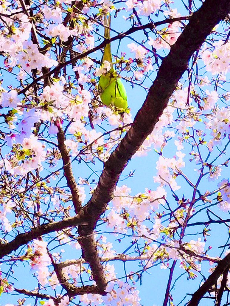 k-factory tweet media