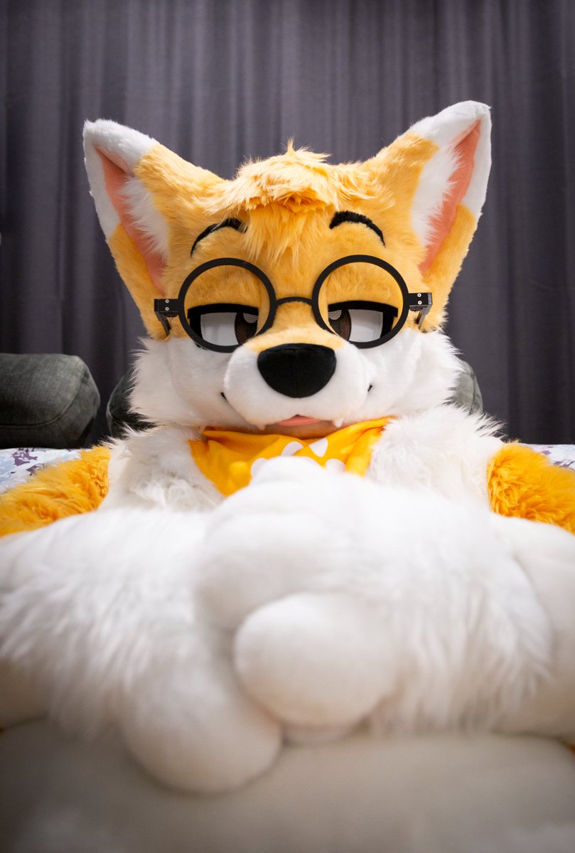*H-angry* 💢🍰🥛

🦊👓: <a href="/ShujjaWuff/">ShujjaFolf</a>

#Fursuit #FursuitEveryday #TummySunday #SoftSunday