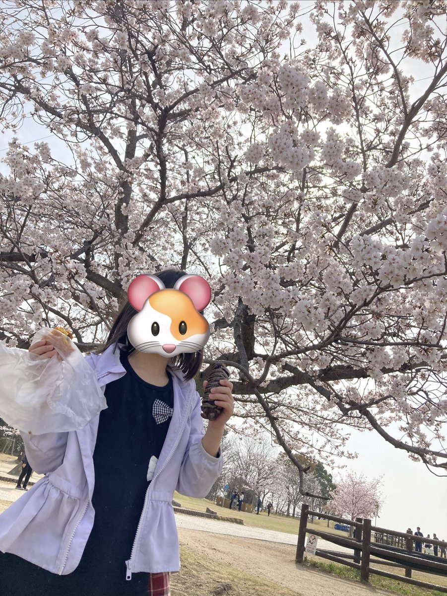 ばれんちん@広島蟲主 tweet media