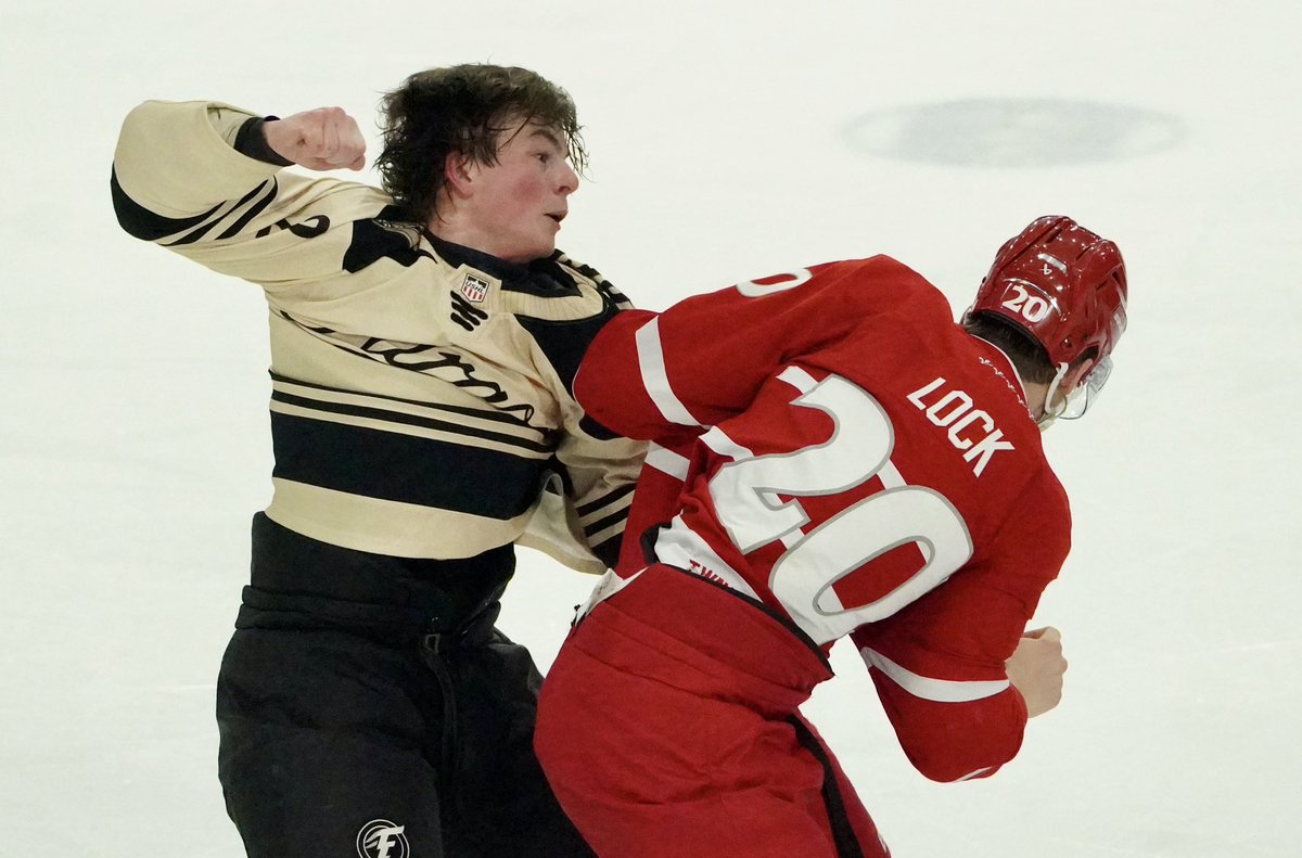 Rob Beer_InForum tweet media