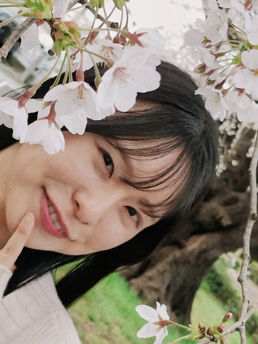 葵井深月@3/24-29葵井深月展 tweet media