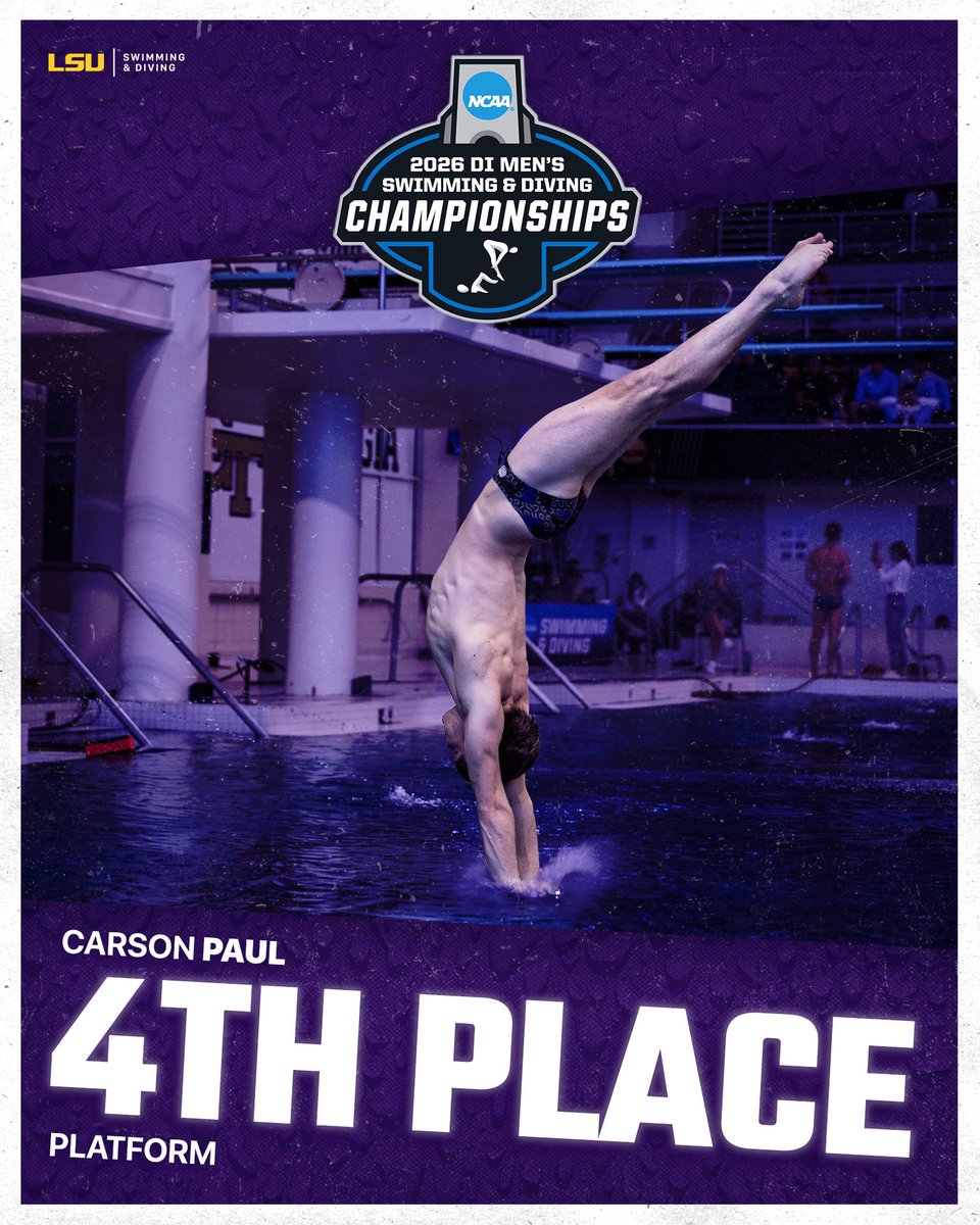 LSU Swimming & Diving tweet media