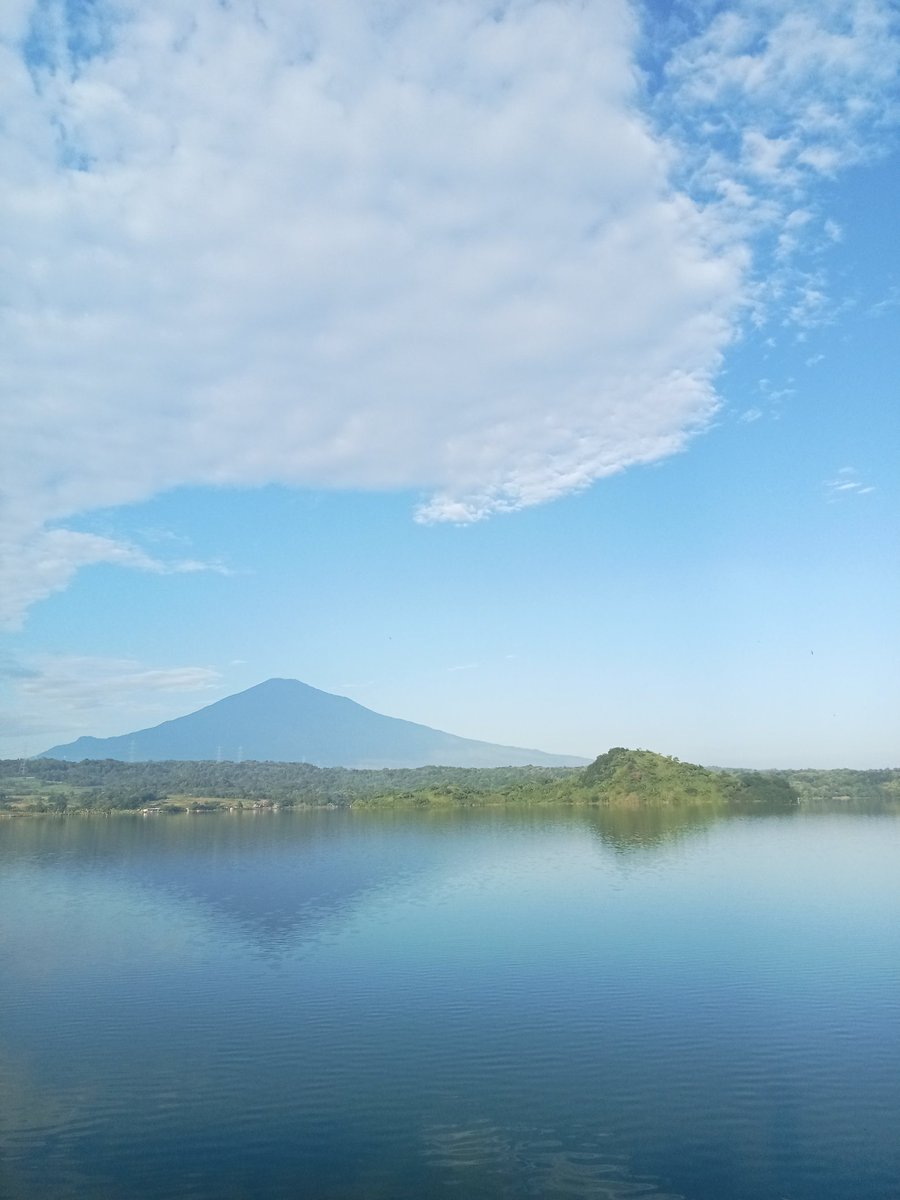 Adin Bin Saheh tweet media