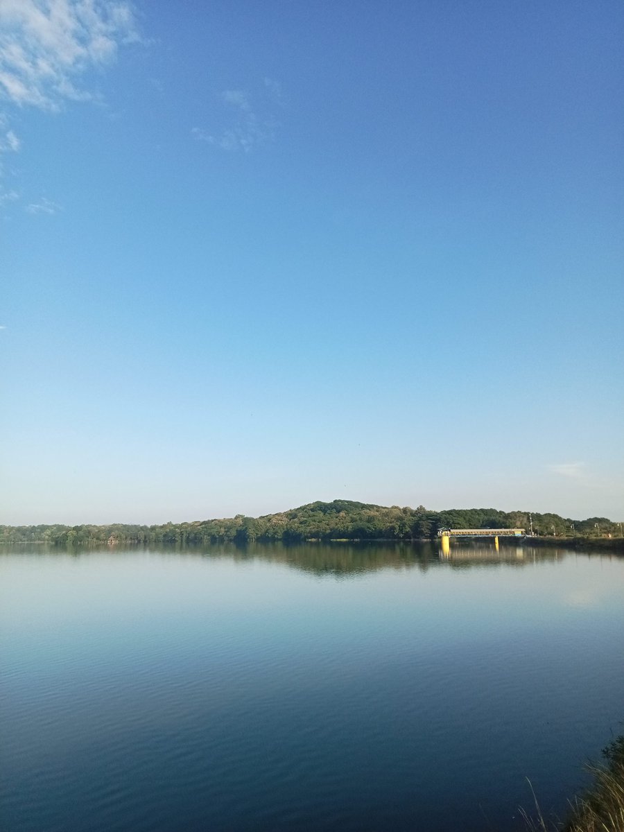 Adin Bin Saheh tweet media