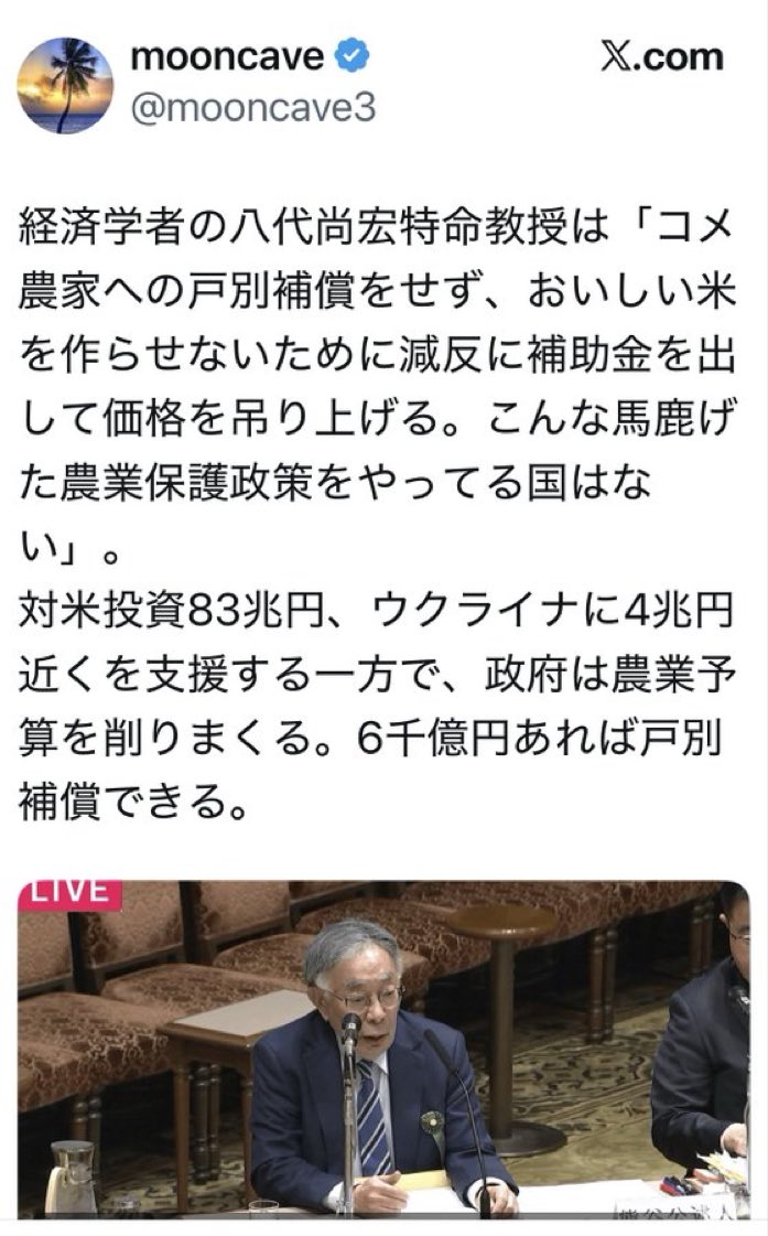 jaymay-chaton tweet media