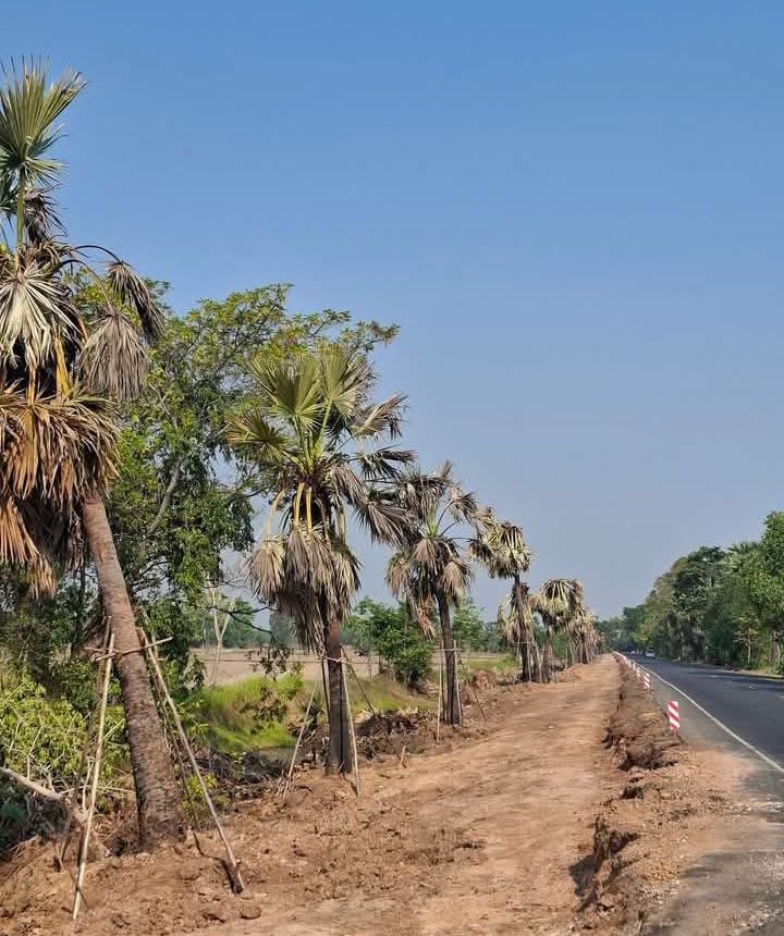 Peerapat tweet media