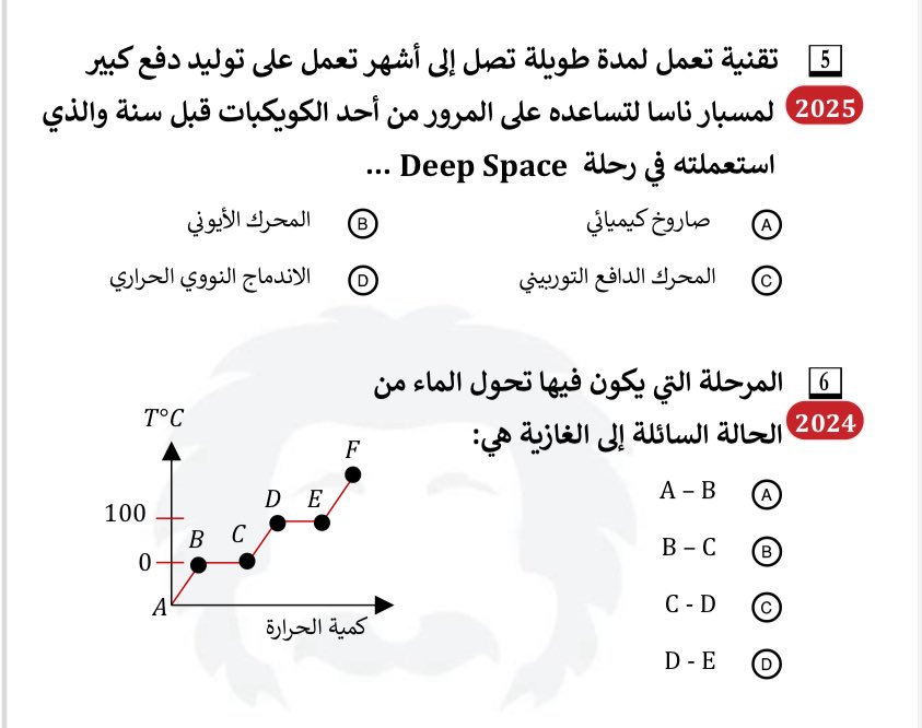 🐈‍⬛🌼 tweet media