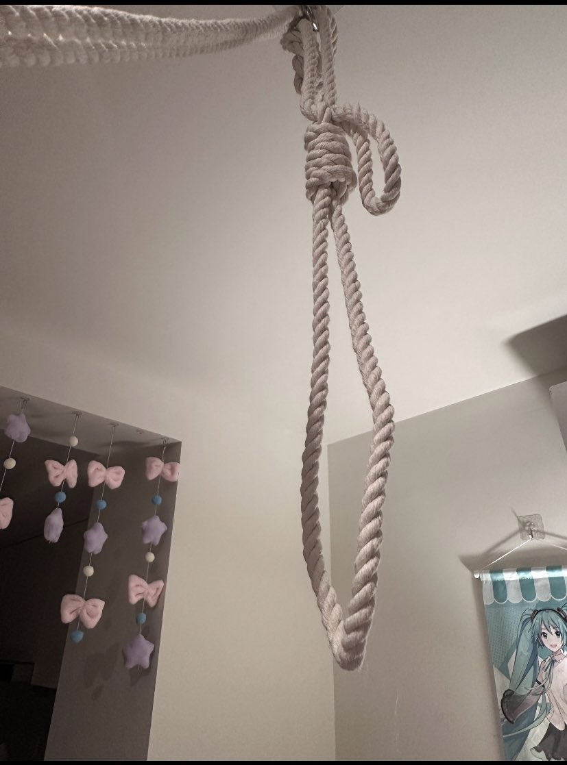 tuvaleti nası bulduysan öyl bırak tweet media