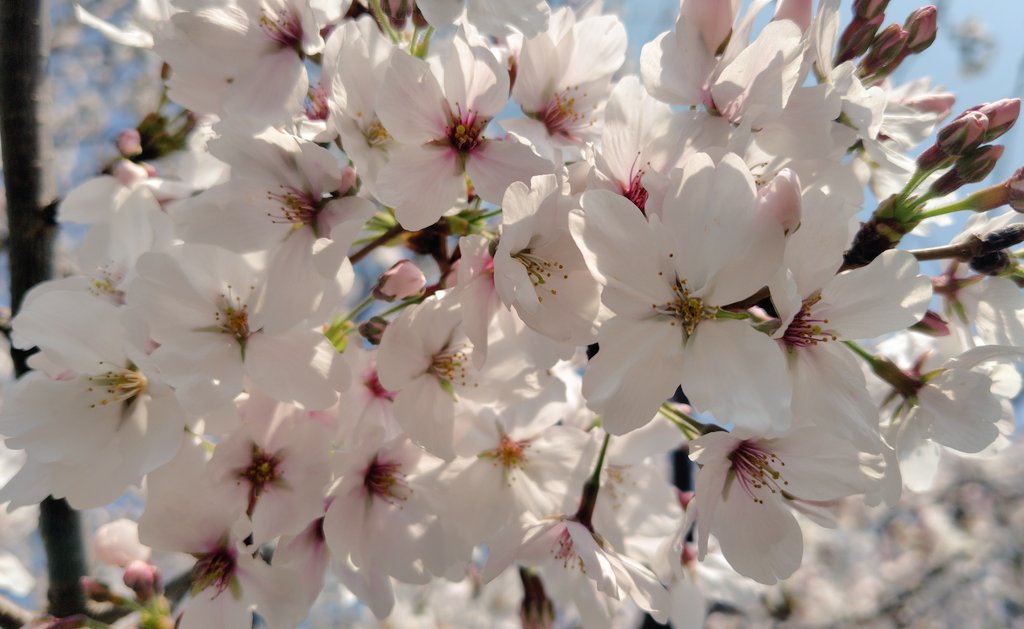 溝口小百合☀️元気MAX☀️ tweet media