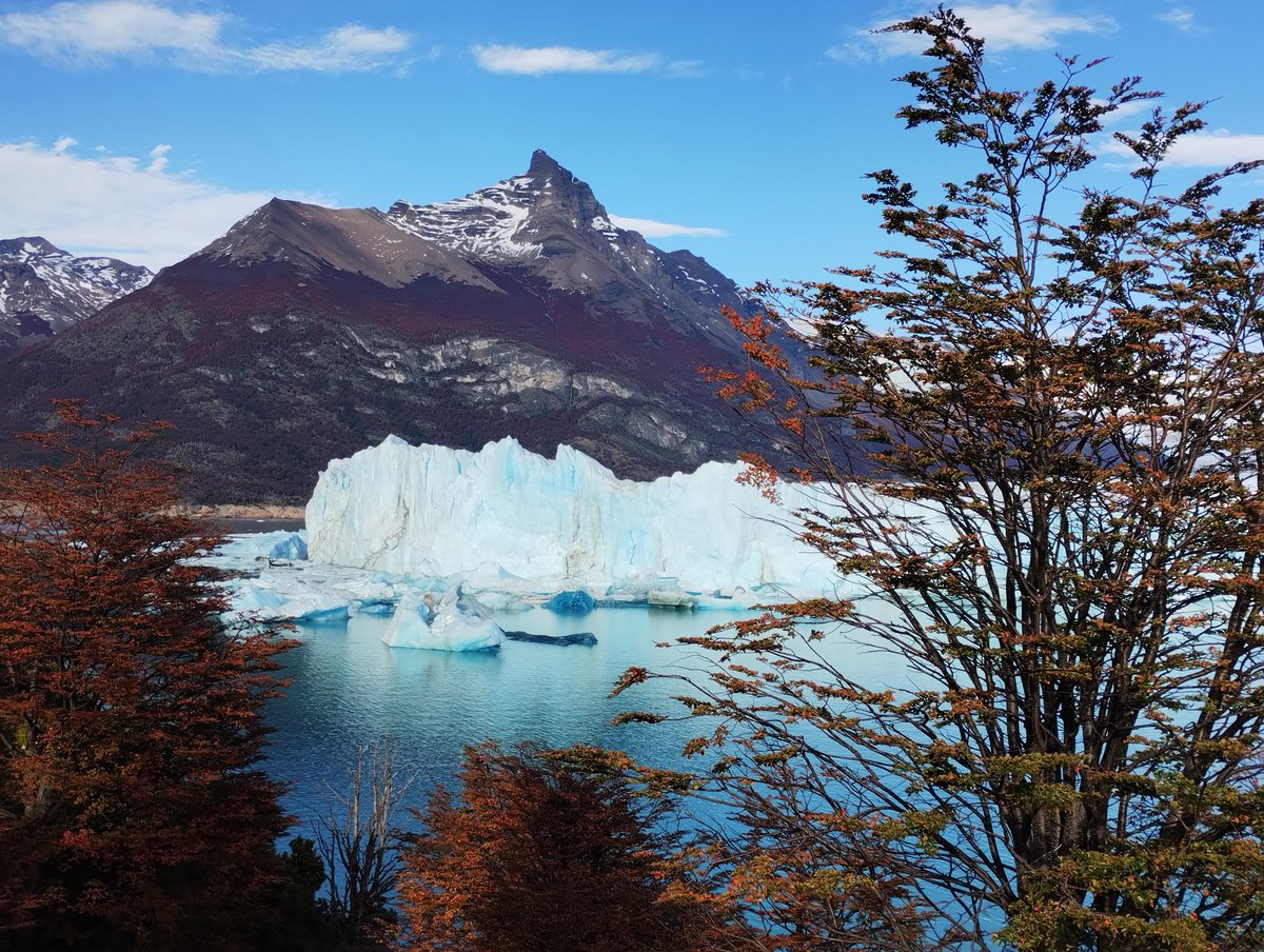 Damian Pablo Ballester tweet media