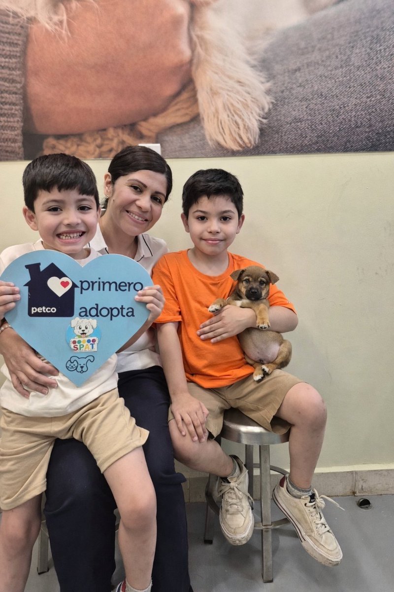 Sociedad Protectora Animal Tamaulipeca Ac tweet media