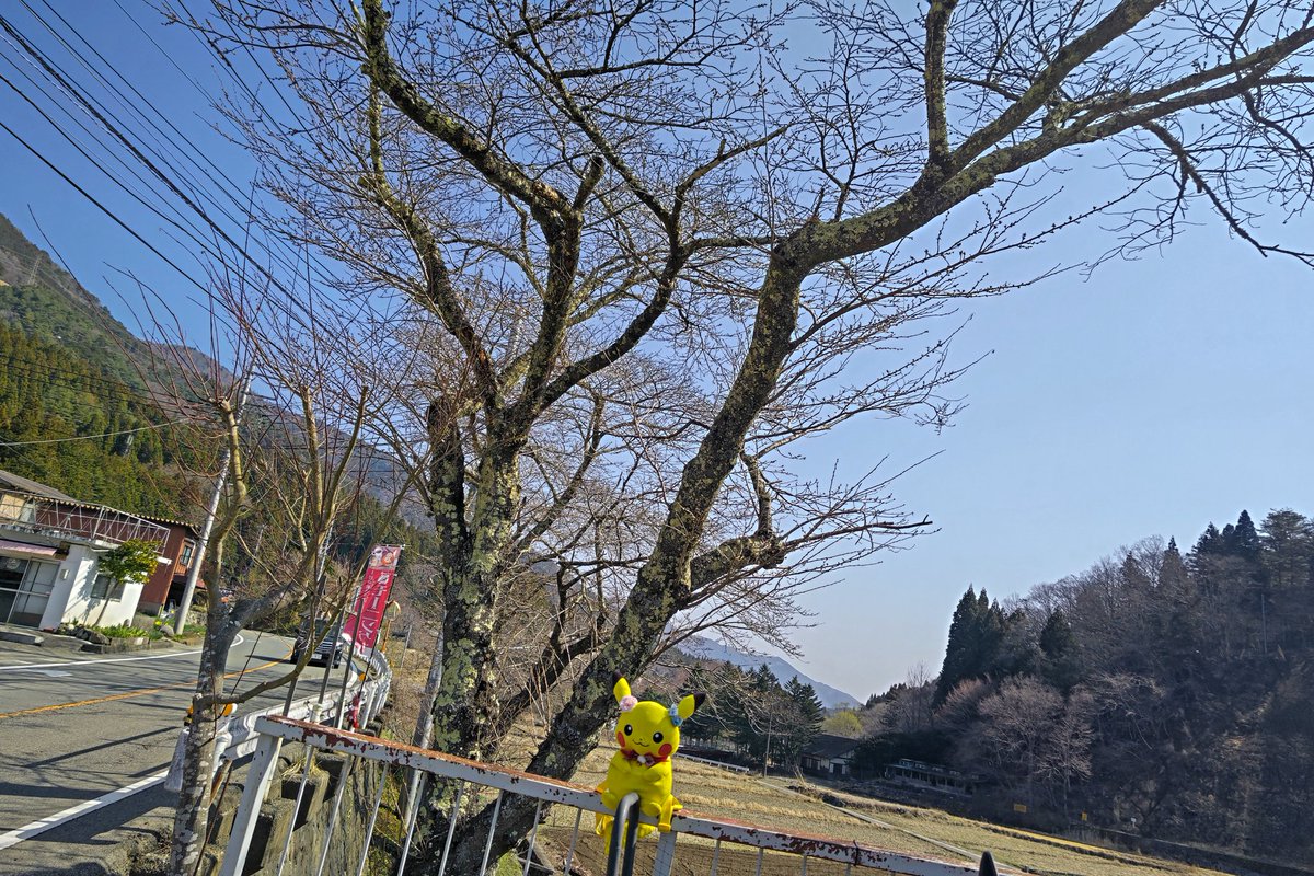 イッシー😺 バイク好き tweet media