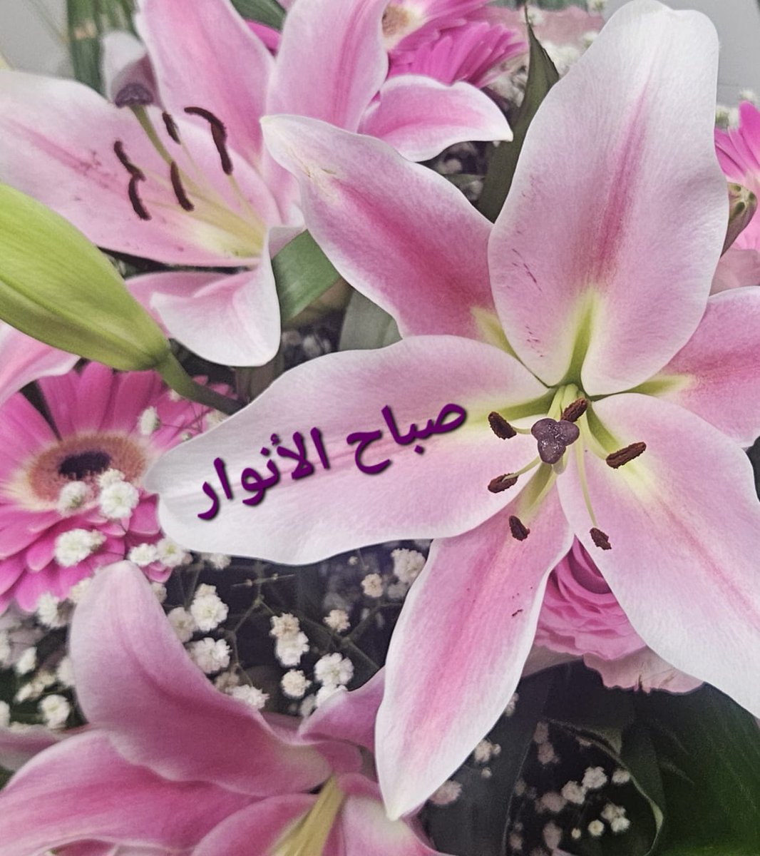 HUSSAM OSMANOĞLU. tweet media