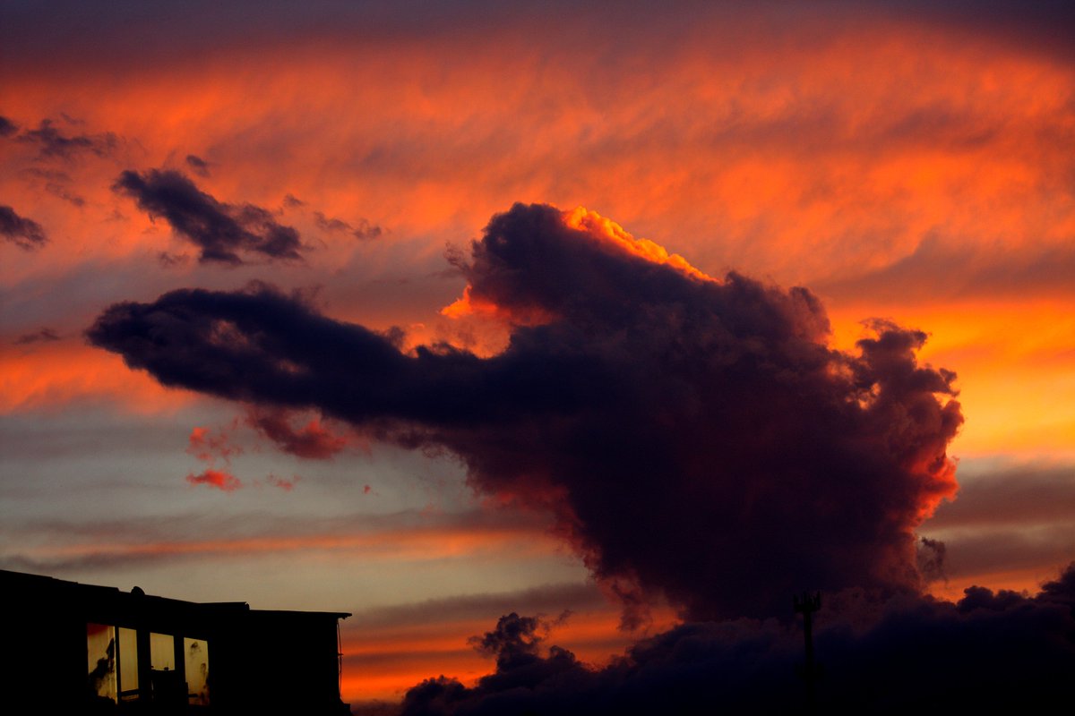 Carlos-Enrique Ruiz tweet media