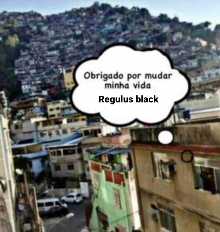 Acervo Regulus Black 🪶 tweet media