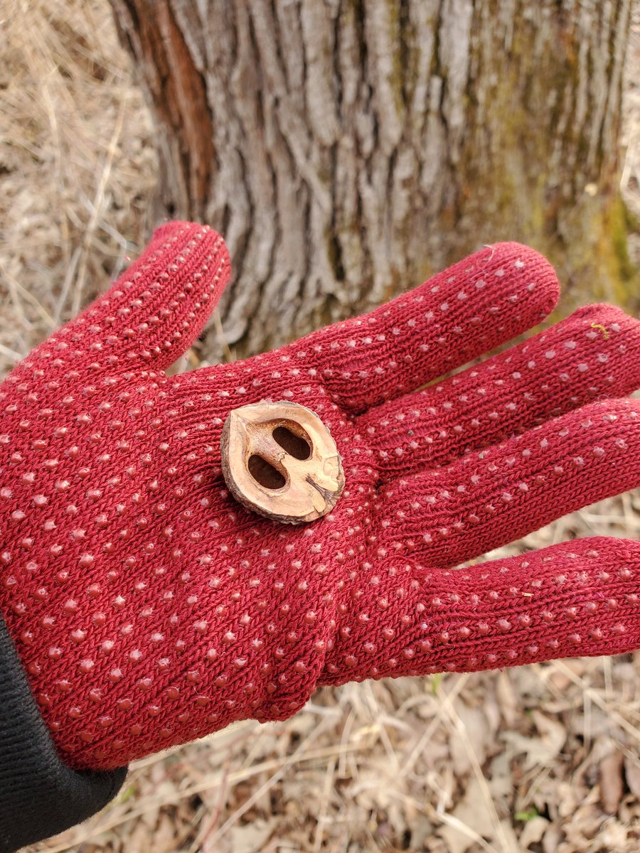 Grogda 👁️🍲 Cyclops V-tuber tweet media