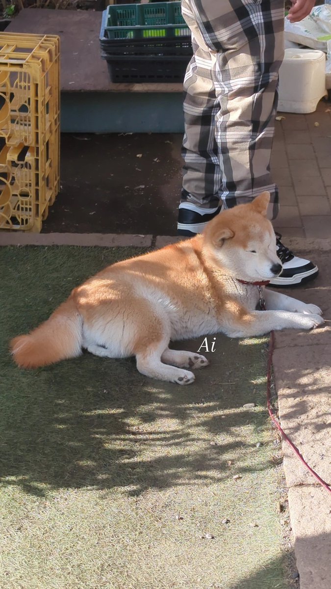 Ana.｡.*🎀 tweet media