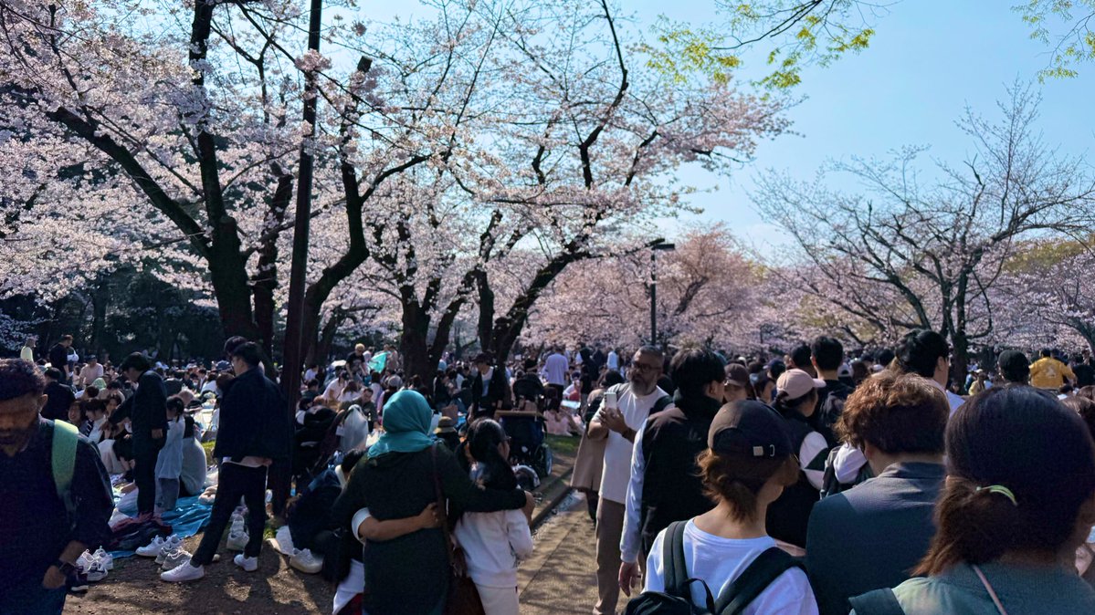 ぐっち tweet media