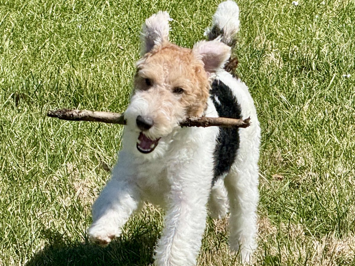 PastorShan tweet media