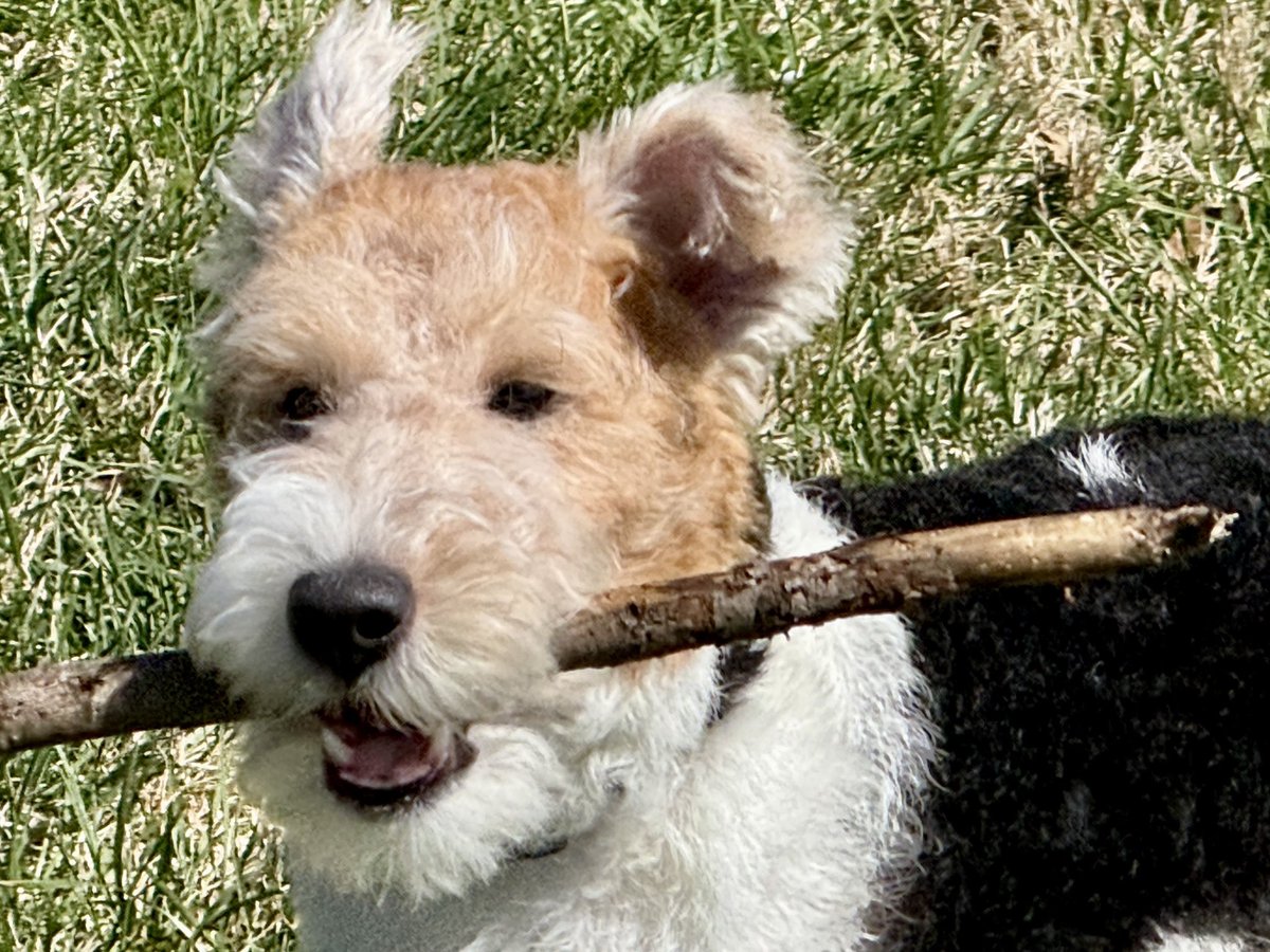 PastorShan tweet media