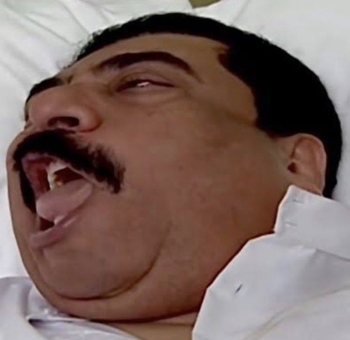 not found tweet media